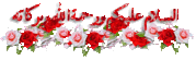 962468.gif