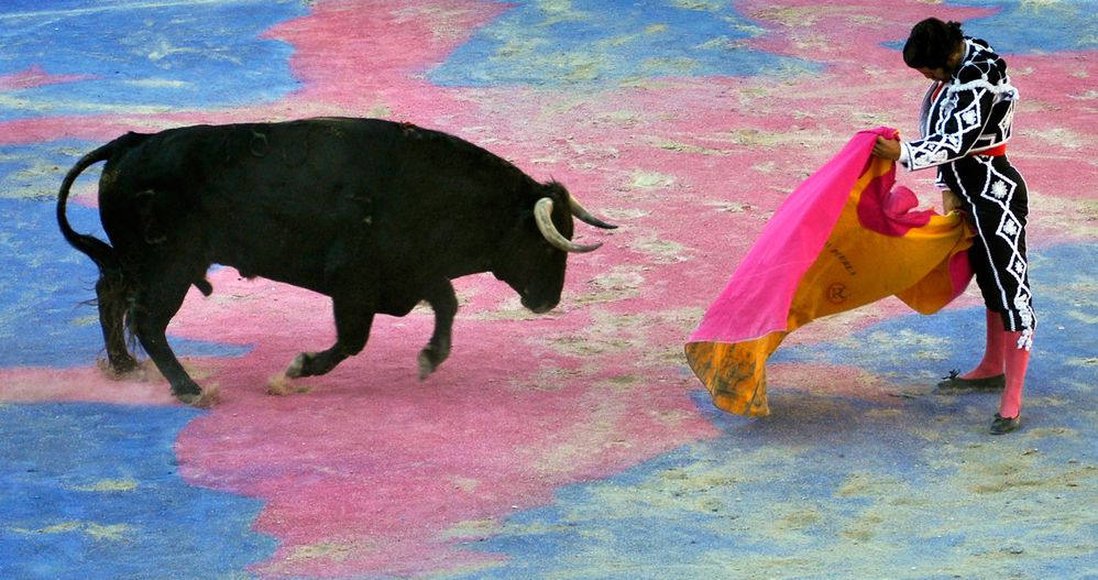 Claude-Viallat-Painting-bullfight-Morante-Puebla-Arles-Goye