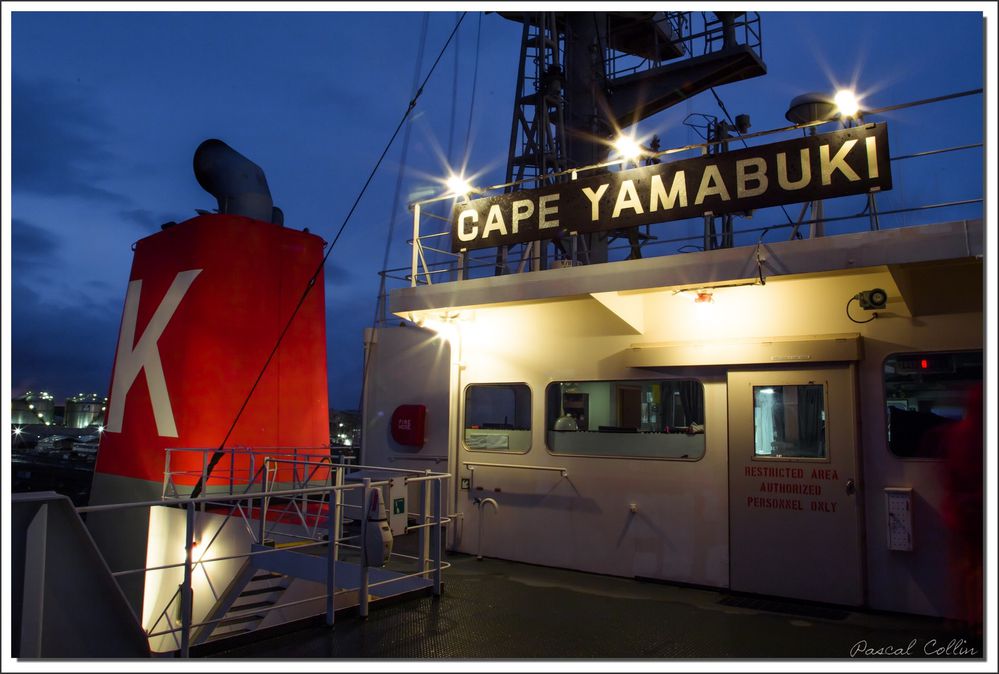Cape Yamabuki T0996