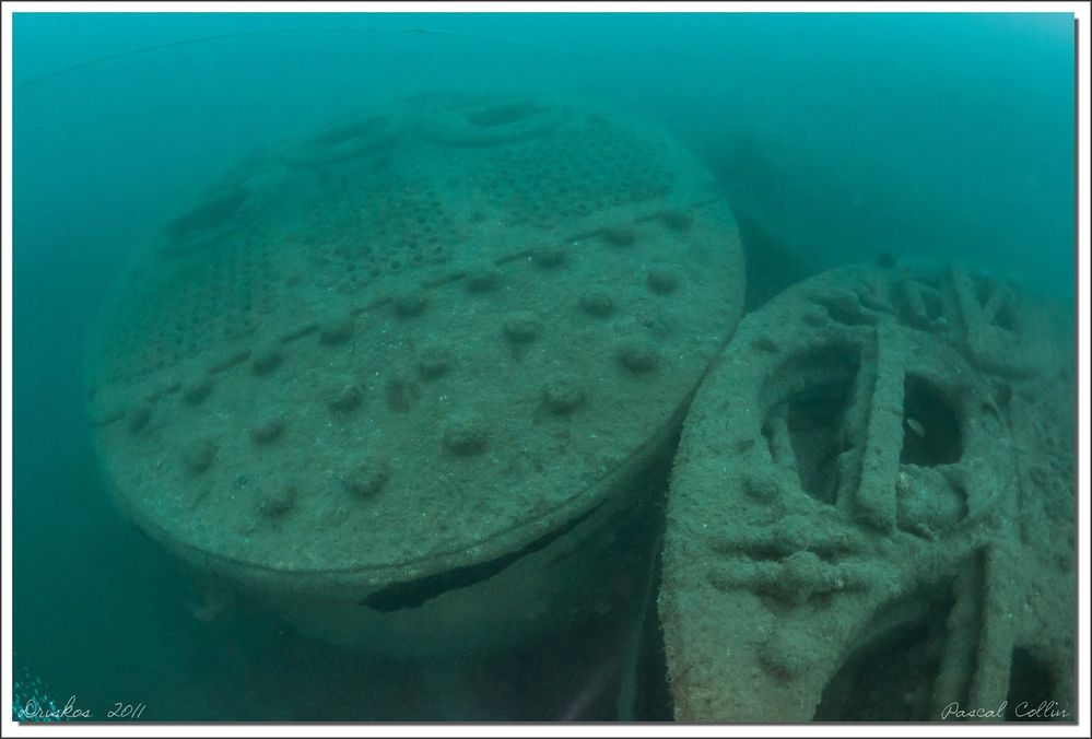 Driskos T5899