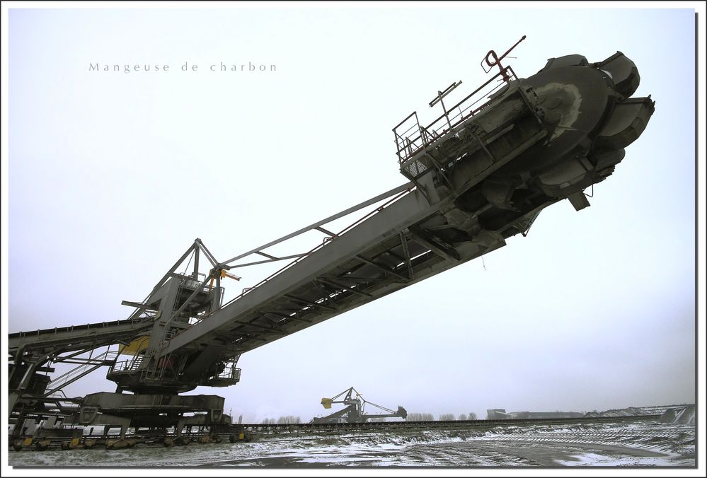 T4336