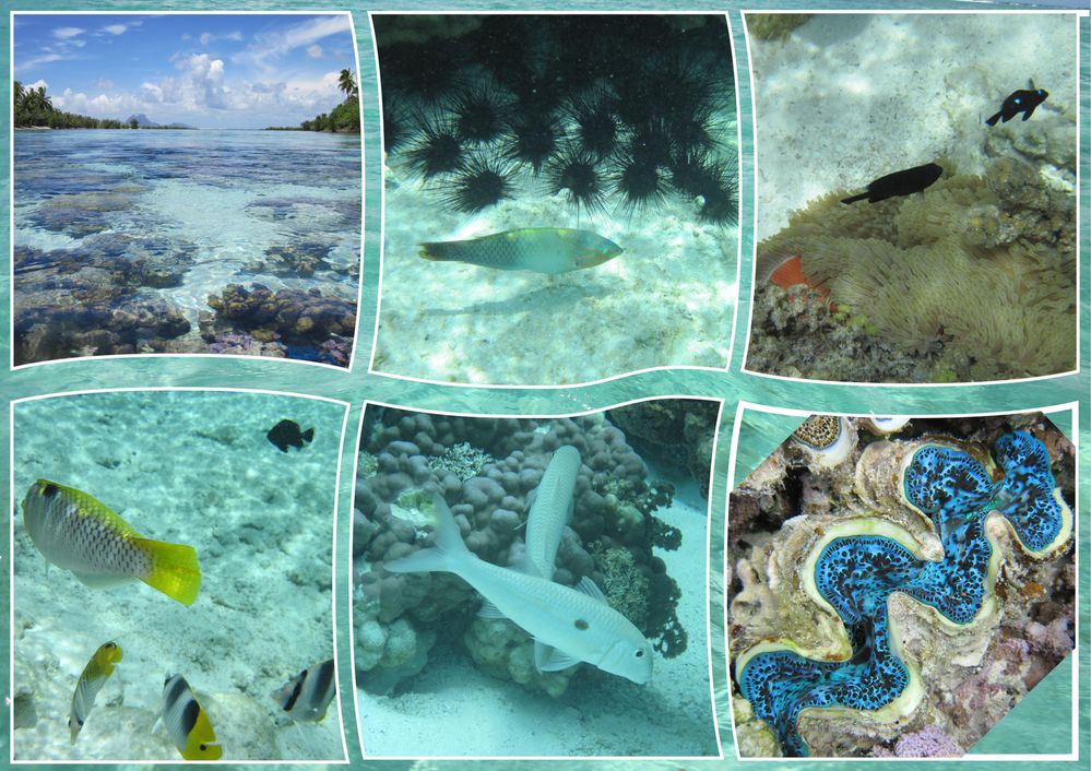 raiatea15