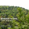 the carapace - moments in time