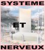 Système-et-nerveux-from-point-to-art-contemporain