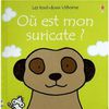 51weU1qh+pL. SL500 AA300