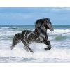 clementoni-puzzle-500-pieces-cheval-noir.40321-1.jpg