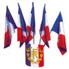 5-drapeaux-francais.jpg