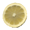 citrons004