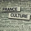 arnaud-fleurent-didier---France-Culture.jpeg