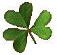 clover