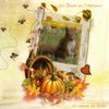 P 53Fruits d'automne