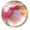 qrw8lx2a-1-.png