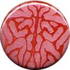 Pagni badge4