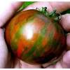 tomate black zebra