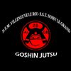 Logo - SHIN GI TAI DEF- essai3