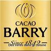 Cacao-barry.jpg