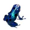 20100606175940!Vuze Logo 2