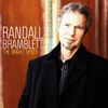 Randall-Bramblett---The-Bright-Spots---2013.jpg