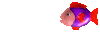 aquari_11.gif