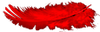balise-plume.png