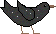 corvetto