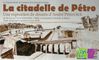 RE2010-Petrovitch carton