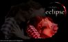 WallpaperNewsofvampiresEclipse003