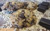 cookies avoine-choco2