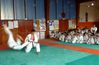 Cloture Judo Milly 13 06 2012 (2)