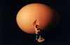 Willy-Rojas-Egg-300x195