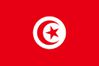 TUNISIE-DRAPEAU.jpg