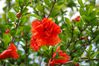 dsc0083.jpg