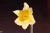 recueil-44-8880-copie-2.jpg