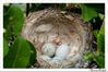 Copy-of-IMG_8198-2.jpg