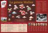 Poster-LFCM-redim.jpg