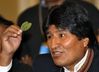 Evo Morales mange une feuille de coca 9 mars 2009