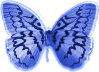 7d0c9d21.gif