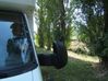 -riviere-chauvigny.jpg
