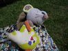 DSCF4501.JPG