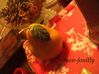 Photo 1270549276ffffffffffffffffffff
