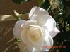 Photo-015.jpg