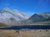 DSC00539.JPG