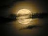images (27)-copie-1