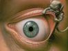 86379_678718208_little-demon_H114356_L.jpg