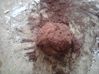 PATON AVANT MIS EN FORME BRIOCHE MARBRE