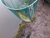 10-04-2012---Boves 0656