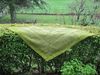 shawl vert 2