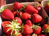 fraises02.jpg