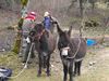 DSCF0023-copie-1.jpg