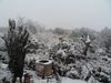 Février 2010 Avant Après 010 (2)